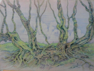 Bomen En Wortels