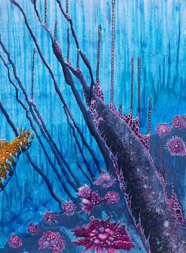 Nieuw in de galerie 
