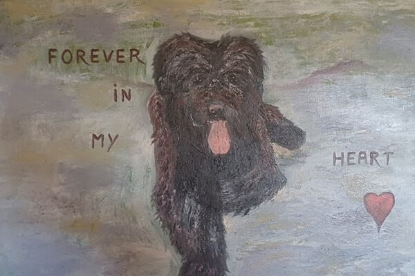 Expositie Hilde Cavens