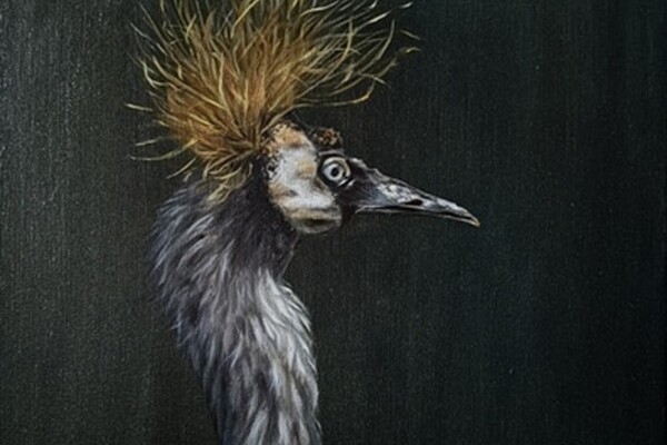 Welkom bij Kunsthandel Gennep