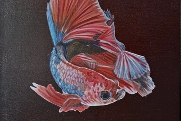 Welkom bij Kunsthandel Gennep