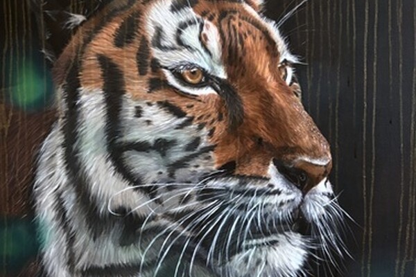 Welkom bij Kunsthandel Gennep